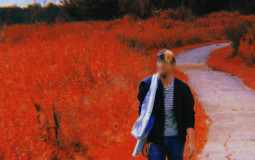 Swift Fox - Full Discography